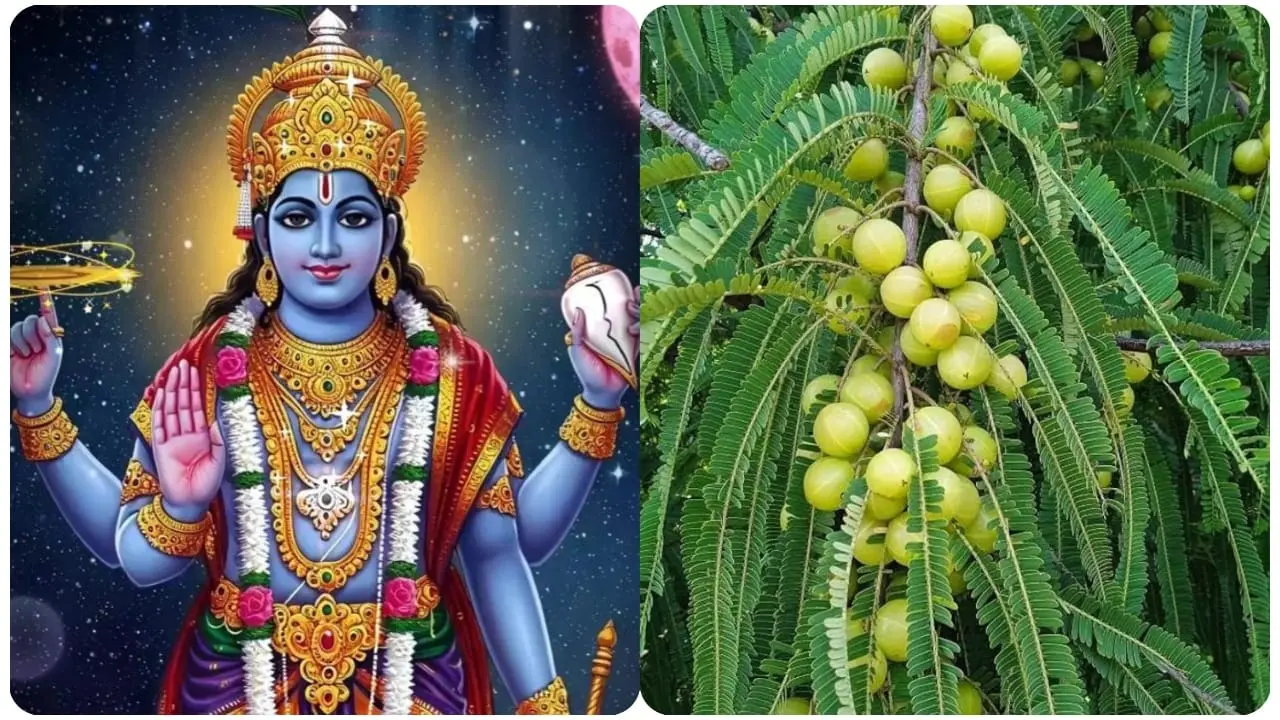 Amalaki Ekadashi 2026
